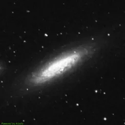 NGC6503 — blue-filter image