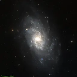 M33 color image