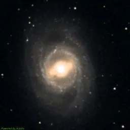 M95 color image