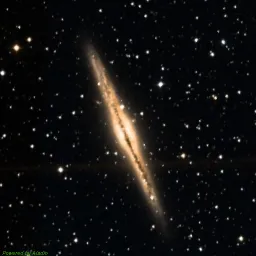 NGC0891 color image