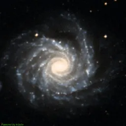 NGC1232 — composite color image