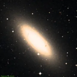 NGC3115 color image