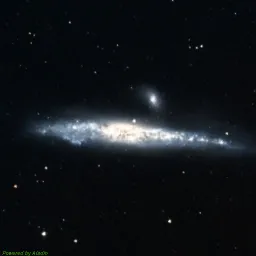 NGC4631 color image