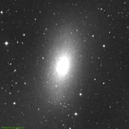 M110 photo taken with Near-Infrared filter