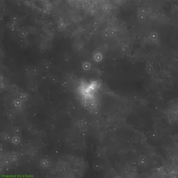 M16 photo taken with Near-Infrared filter