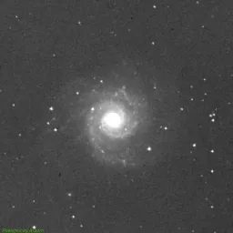 M74 photo taken with Near-Infrared filter