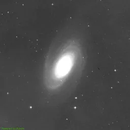 M81 photo taken with Near-Infrared filter