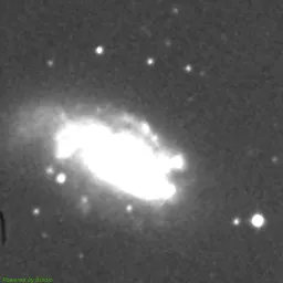NGC1559 — 近红外图像