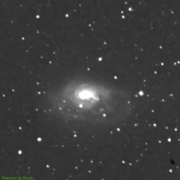 NGC1961 — near-infrared image