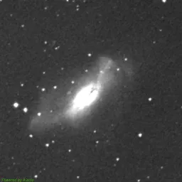 NGC2146 — near-infrared image