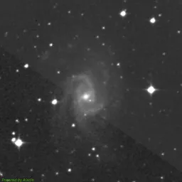 NGC2835 — near-infrared image