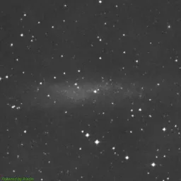 NGC3109 — near-infrared image