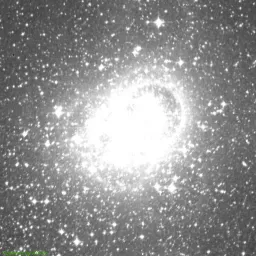 NGC6231 photo taken with Near-Infrared filter