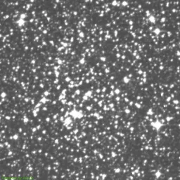 NGC6253 — near-infrared image