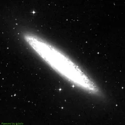 NGC0253 — 红色滤镜图像