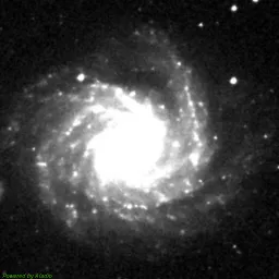 NGC1232 — red-filter image
