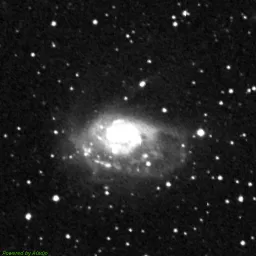 NGC1961 — red-filter image