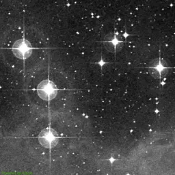 NGC1981 photo taken with red filter