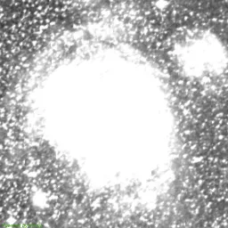 NGC2122 — 红色滤镜图像