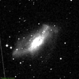 NGC2146 — red-filter image