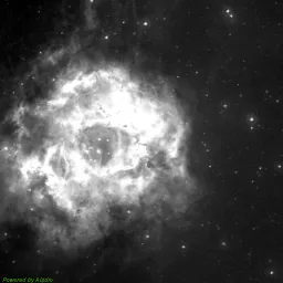 NGC2238 photo taken with red filter