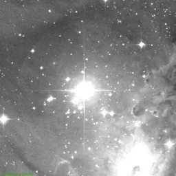 NGC2264 photo taken with red filter