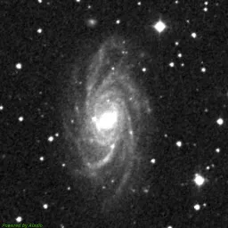 NGC2336 — red-filter image