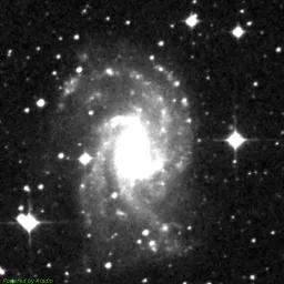 NGC2835 — red-filter image