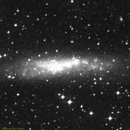 NGC3109 — red-filter image