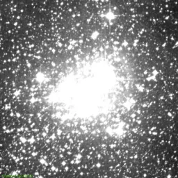 NGC6231 photo taken with red filter