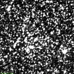 NGC6253 — red-filter image