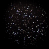 M35 / NGC2168 